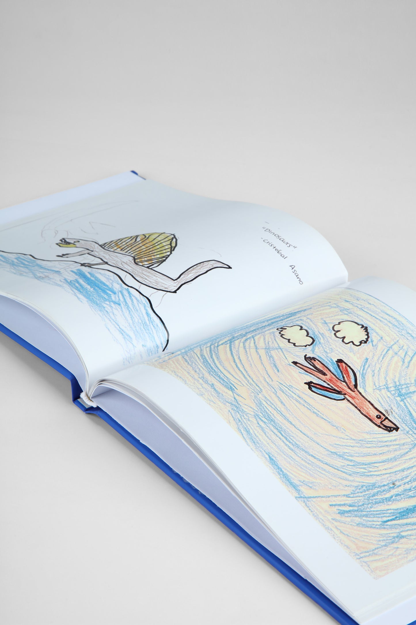 Art Book